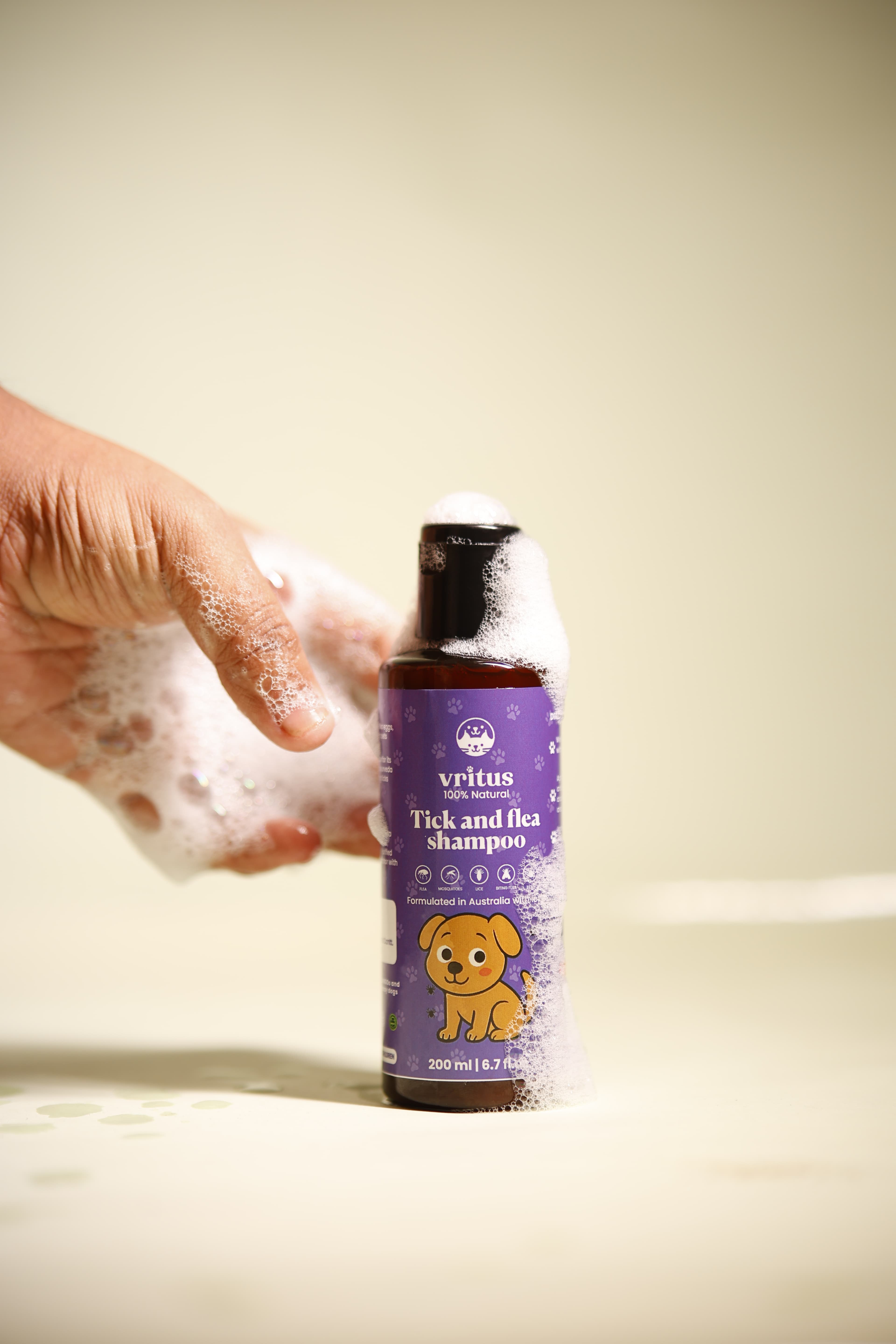 Britime website design